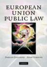 Image for European Union public law  : text and materials