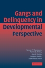 Image for Gangs and Delinquency in Developmental Perspective