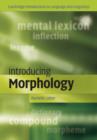 Image for Introducing Morphology