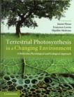 Image for Terrestrial Photosynthesis in a Changing Environment