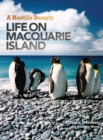 Image for A Hostile Beauty : Life on Macquarie Island