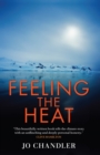 Image for Feeling The Heat