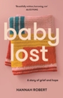 Image for Baby Lost : A Story of Grief and Hope