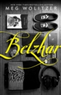 Image for Belzhar