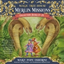 Image for Merlin Missions Collection: Books 17-24