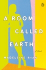 Image for Room Called Earth