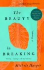 Image for The Beauty in Breaking