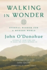 Image for Walking in wonder: eternal wisdom for a modern world