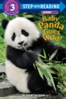 Image for Baby panda goes wild!