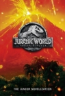 Image for Jurassic World: Fallen Kingdom: The Junior Novelization (Jurassic World: Fallen  Kingdom)