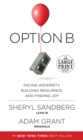 Image for Option B