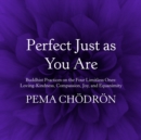 Image for Perfect Just as You Are: Buddhist Practices on the Four Limitless Ones: Loving-Kindness, Compassion, Joy, and Equanimity