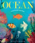 Image for Ocean: A Peek-Through Picture Book