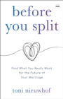 Image for Before you split  : find what you really want for the future of your marriage