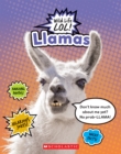 Image for Llamas (Wild LIfe LOL!)