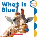 Image for What Is Blue? (Rookie Toddler)