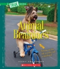 Image for Animal Brainiacs (True Book: Amazing Animals) (Library Edition)
