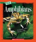 Image for Amphibians (A True Book: Animal Kingdom)