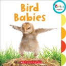 Image for Bird Babies (Rookie Toddler)