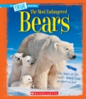 Image for Bears (A True Book: The Most Endangered) (Library Edition)