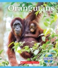 Image for Orangutans (Nature&#39;s Children)