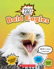 Image for Bald Eagles  (Wild Life LOL!)