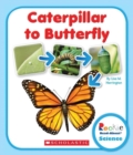 Image for Caterpillar to Butterfly (Rookie Read-About Science: Life Cycles)