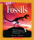 Image for Fossils (A True Book: Earth Science)