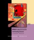 Image for Precalculus  : understanding functions