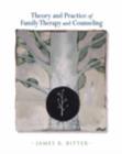 Image for Theory and Practice of Family Therapy and Counseling