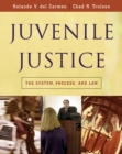 Image for Juvenile justice  : the system, process, and law