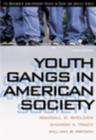 Image for Youth Gangs in American Society
