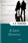 Image for A Late Divorce: A Novel