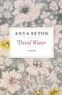 Image for Devil Water : A Novel