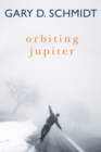 Image for Orbiting Jupiter