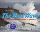 Image for The next wave: the quest to harness the power of the oceans