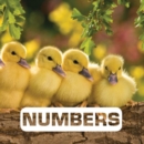 Image for Numbers: Picture This