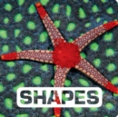 Image for Shapes: Picture This