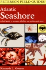 Image for Atlantic Seashore: A Field Guide to Sponges, Jellyfish, Sea Urchins, and More