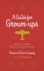 Image for A Guide for Grown-Ups