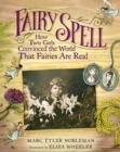 Image for Fairy Spell