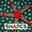 Image for Shapes