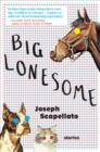 Image for Big Lonesome