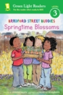Image for Bradford Street Buddies: Springtime Blossoms