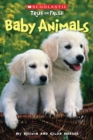 Image for Baby Animals (Scholastic True or False)