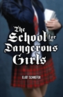 Image for The School For Dangerous Girls