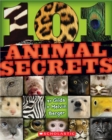 Image for 101 Animal Secrets