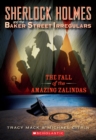 Image for The Fall of the Amazing Zalindas (Sherlock Holmes and the Baker Street Irregulars #1)