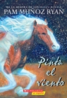 Image for Pinta el viento (Paint the Wind)