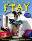 Image for Stay: The True Story of Ten Dogs
